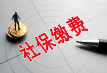 2023年31省份社保缴费基数汇总